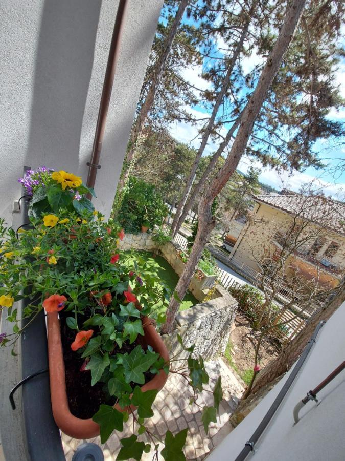 La Pineta - Delightful Small Apartment Near The City Center LʼAquila Exteriér fotografie